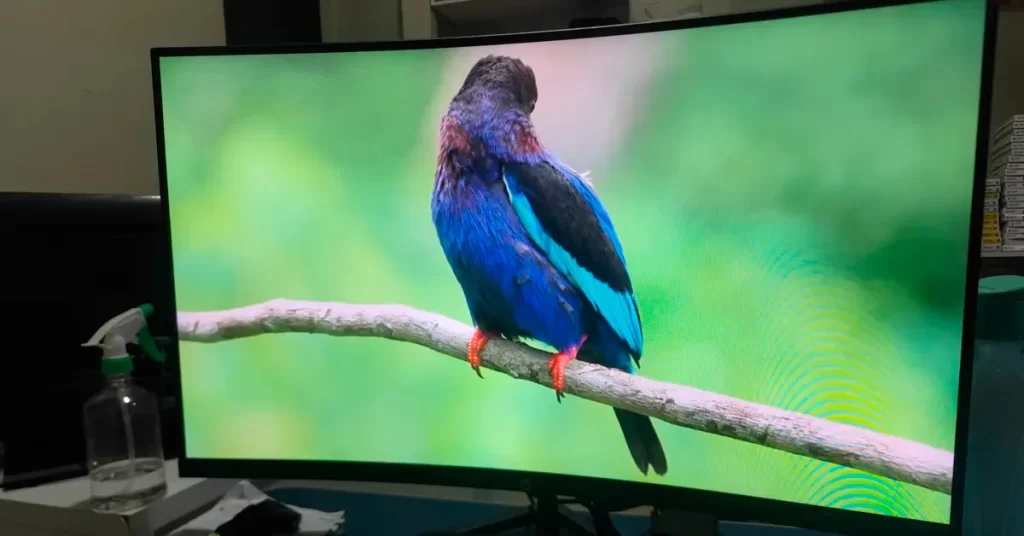 Monitor 31.5 Curvo bom e barato com entradas HDMI e VGA versáteis